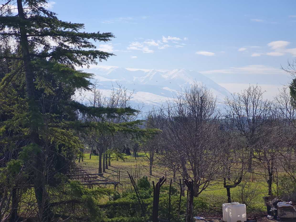 Terra no Nocciano, Abruzzo 10171315