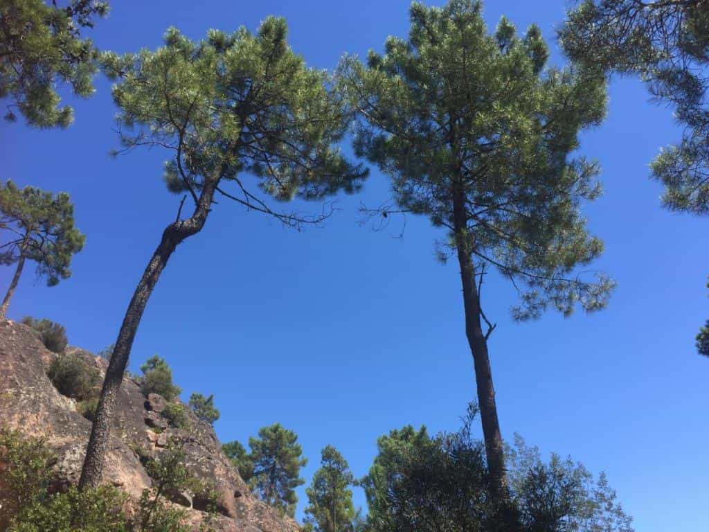 בַּיִת ב Fréjus, Provence-Alpes-Côte d'Azur 10171880