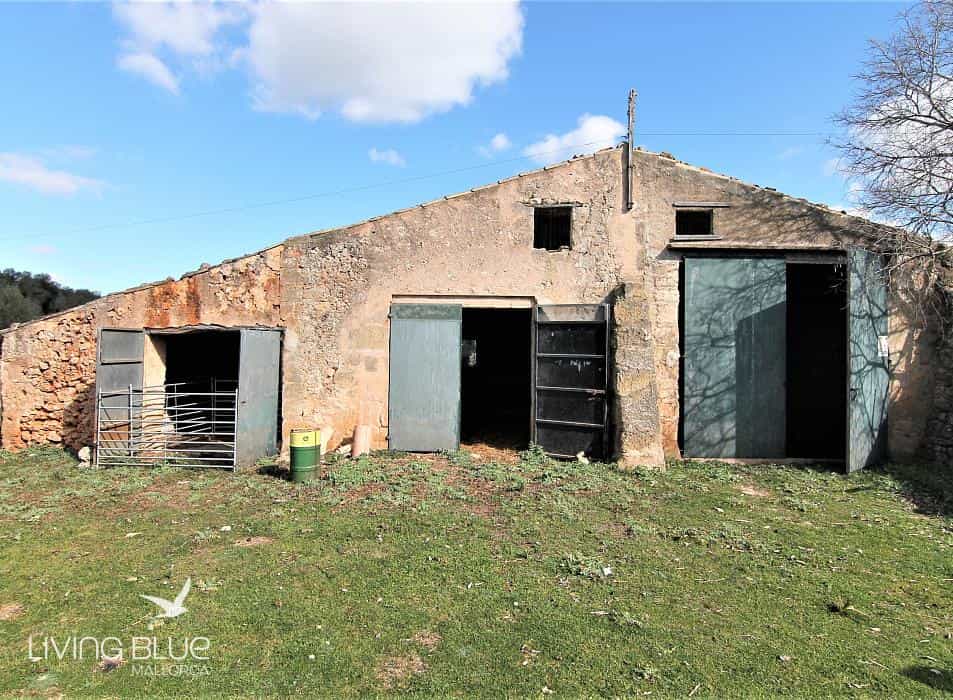 House in Lloret de Vistalegre, Balearic Islands 10175829