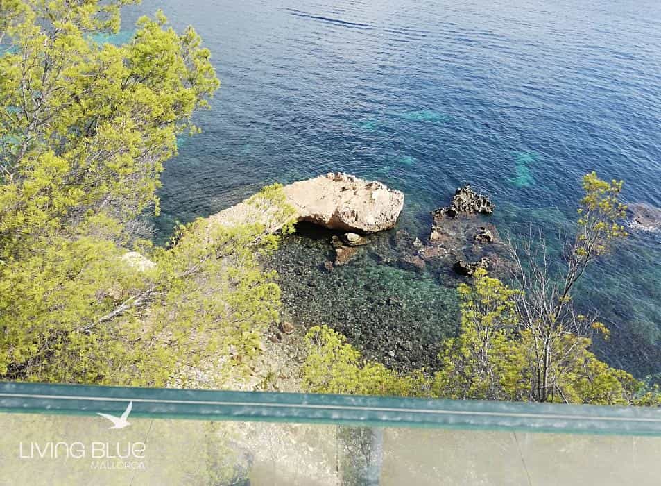 House in Cala Vinyes, Illes Balears 10176139