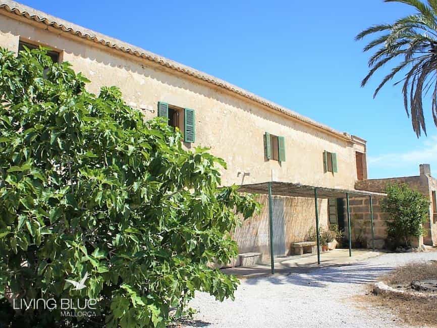 Other in Porreras, Balearic Islands 10176546