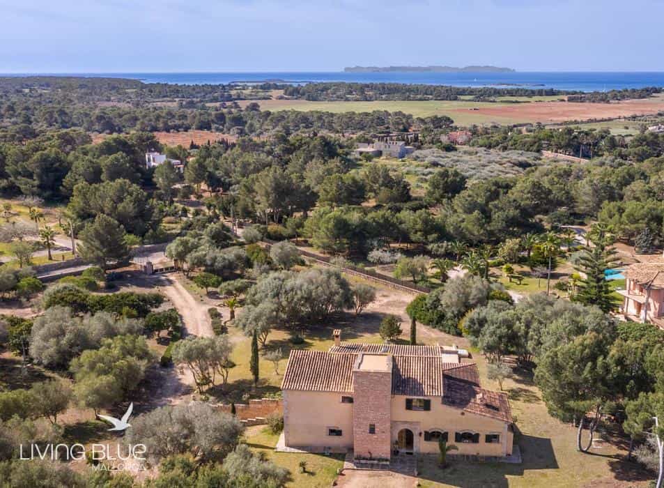 Other in Ses Salines, Balearic Islands 10176689