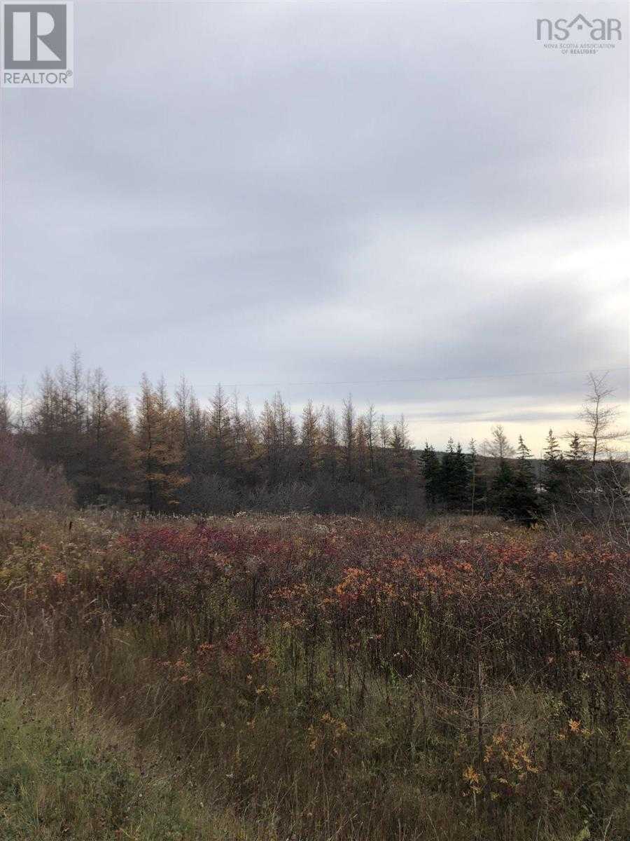 Tanah di Mulgrave, Nova Scotia 10180523