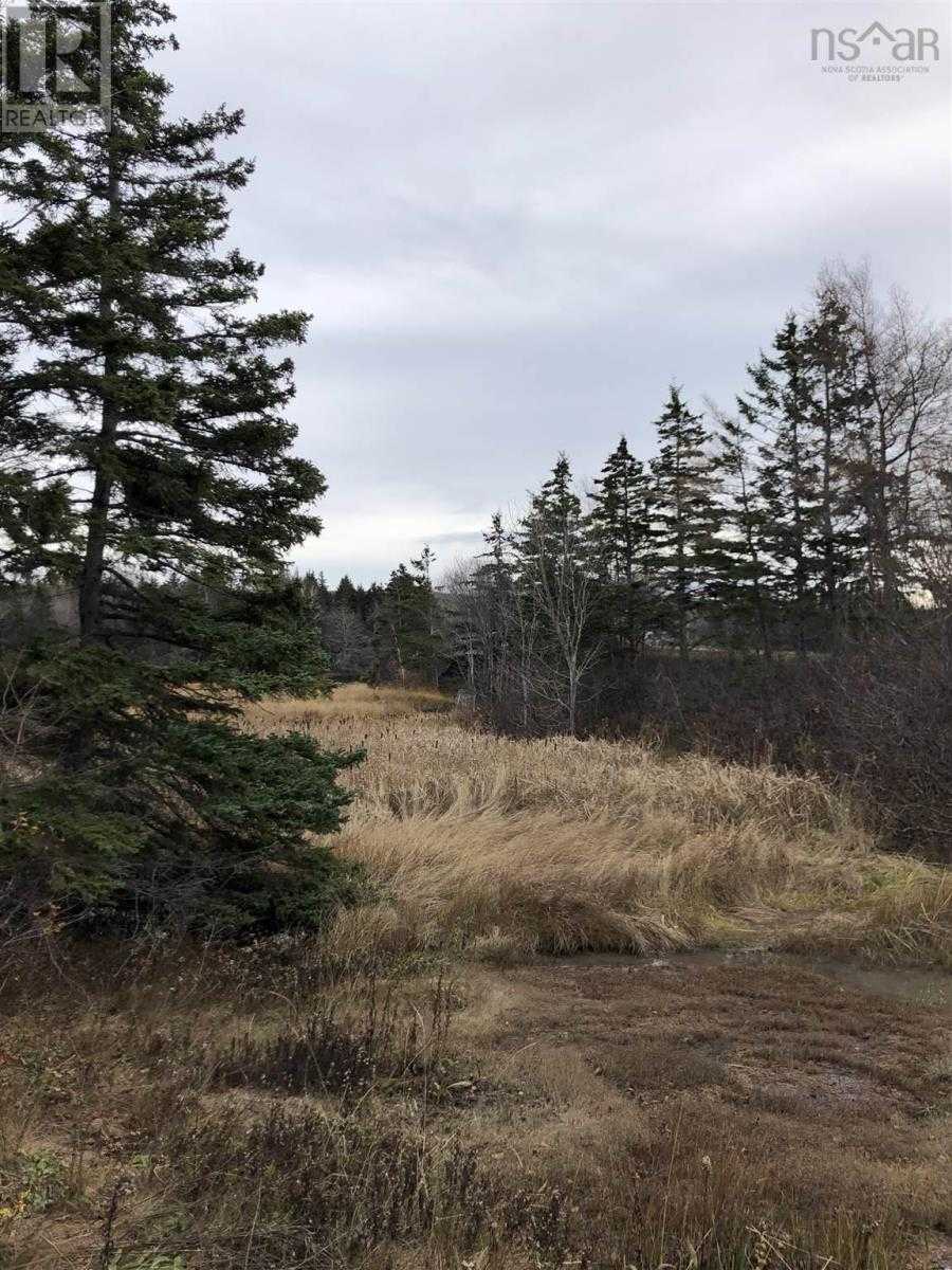 Land in Judique, Nova Scotia 10180523