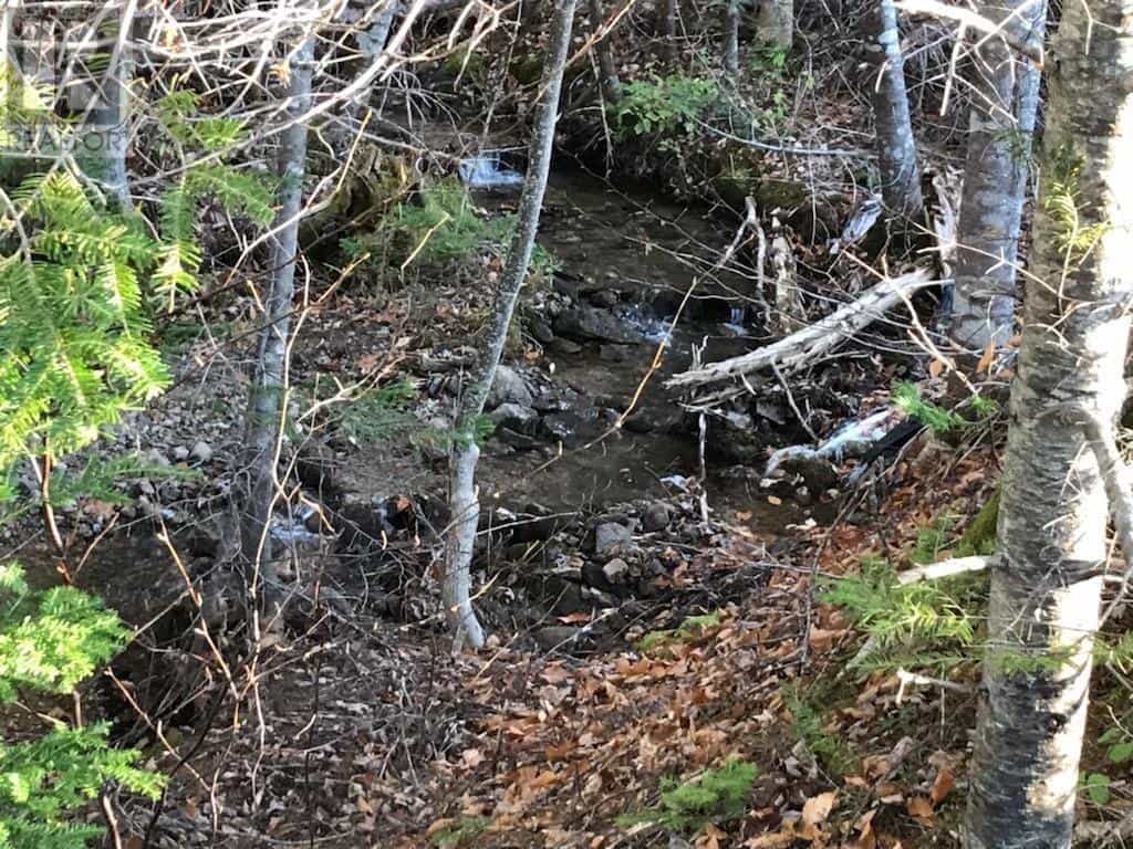 Tanah dalam River Denys, Nova Scotia 10180528