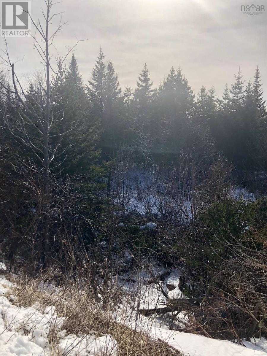 Tanah di Mulgrave, Nova Scotia 10180540