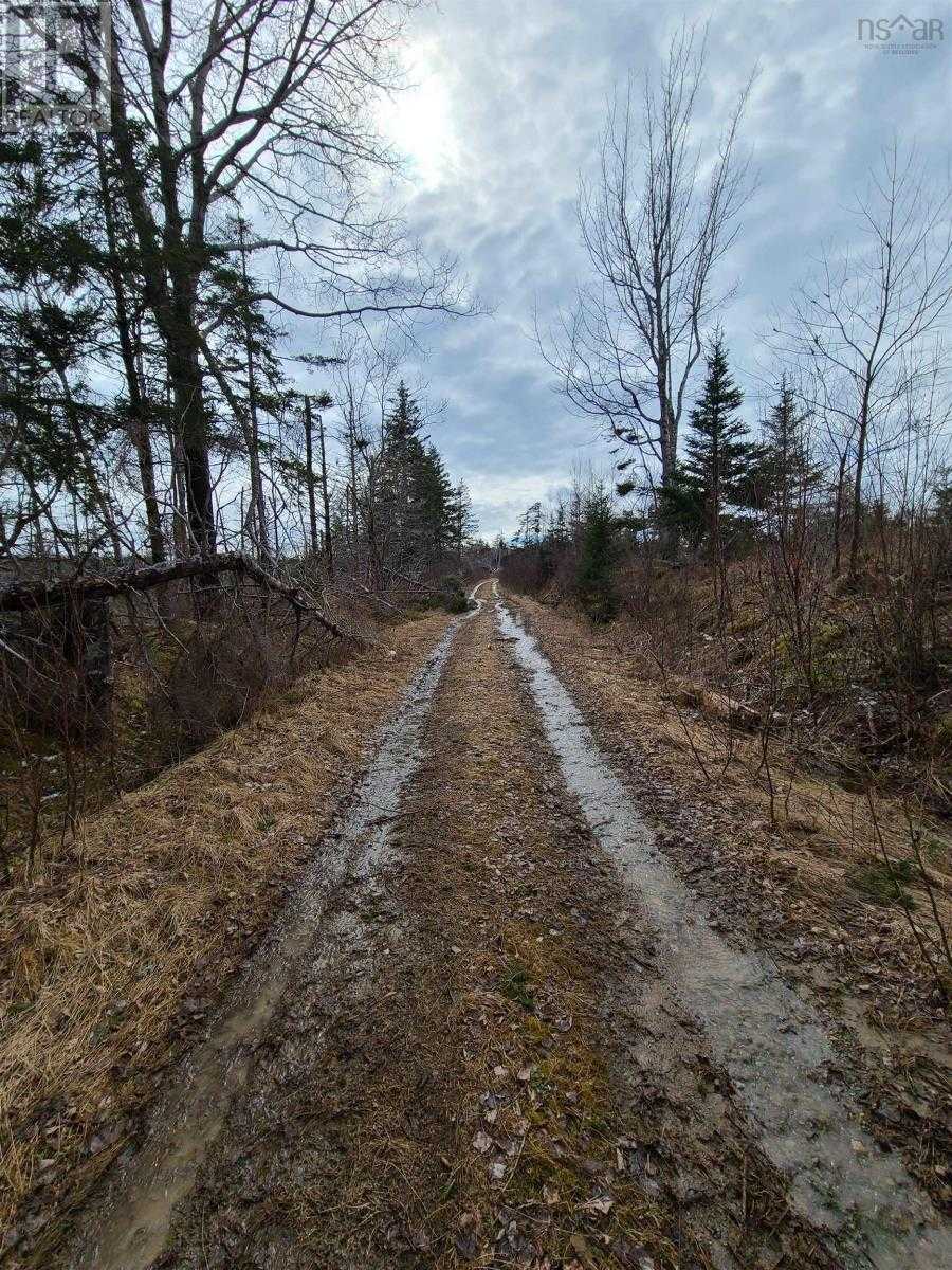 Tanah dalam , Nova Scotia 10180557