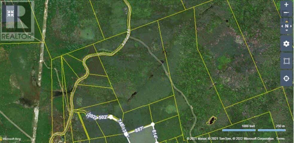 Terre dans Orangedale, Nova Scotia 10180571
