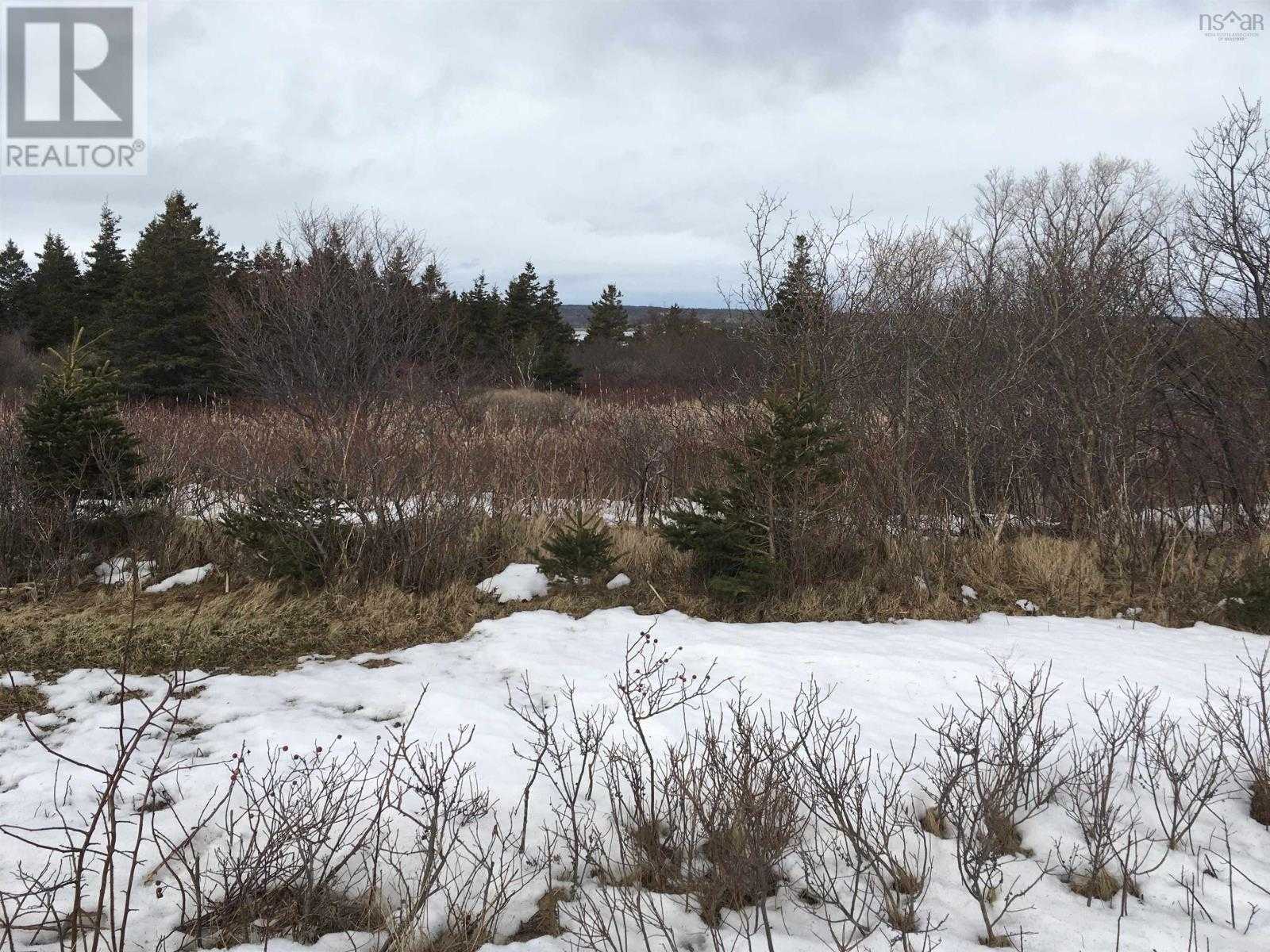 Land in Chéticamp, Nova Scotia 10180587