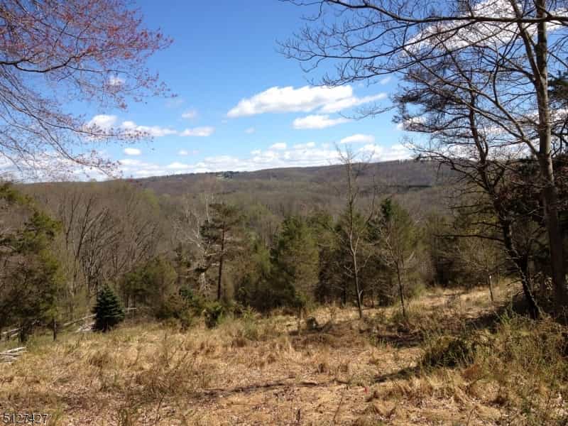 Land in Peapack and Gladstone, New Jersey 10181758