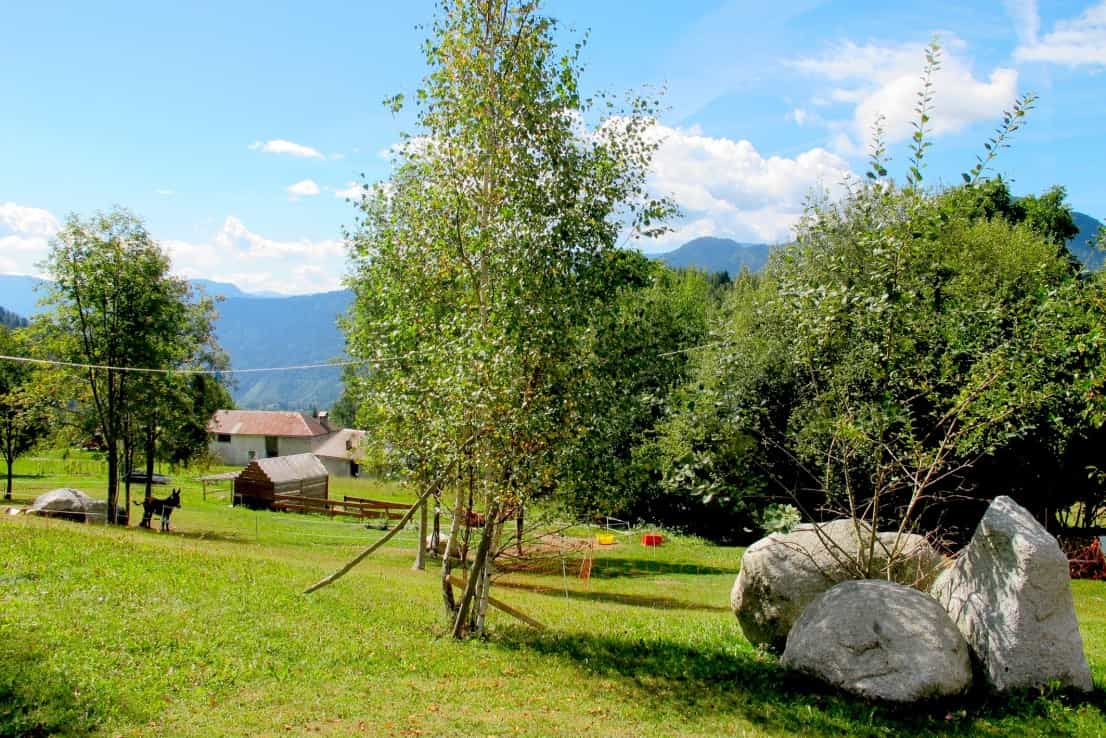 آخر في , Trentino-Alto Adige 10185209