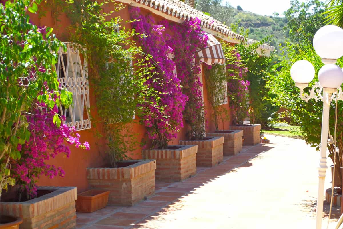 casa en Marbella, Andalusia 10195787