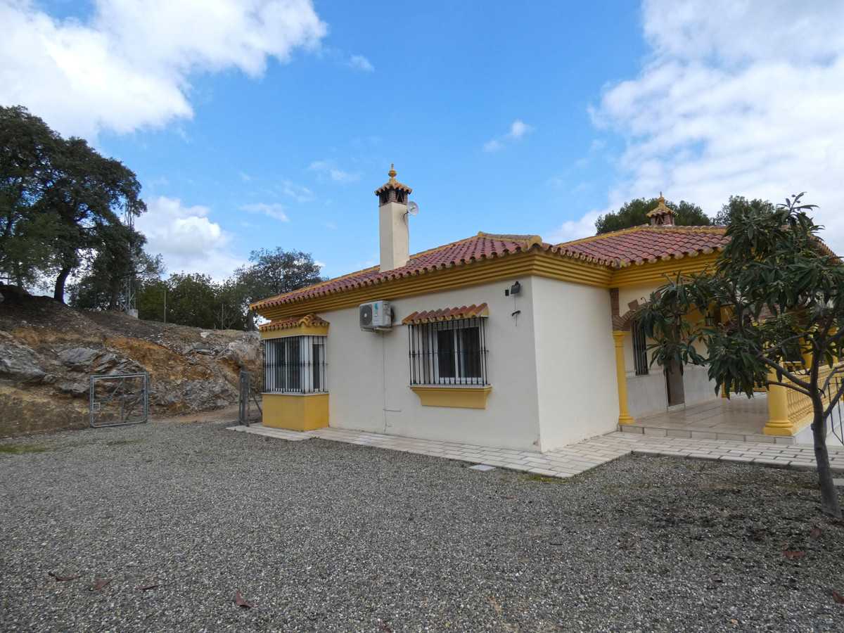 Hus i Mynt, Andalusia 10197975
