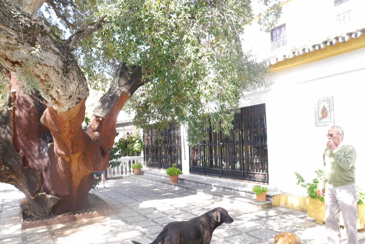 rumah dalam Mijas, Andalucía 10198282