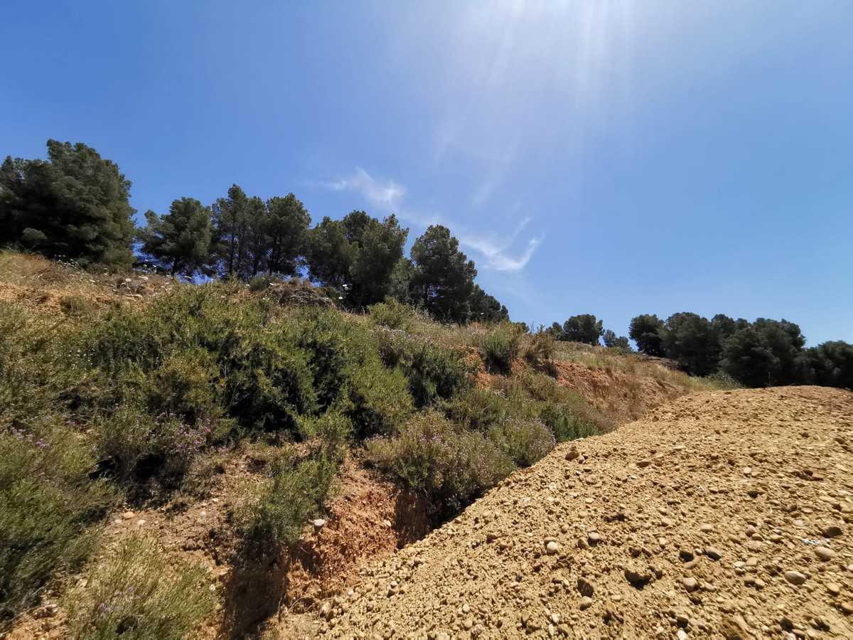 Land in Torremolinos, Andalusia 10202645
