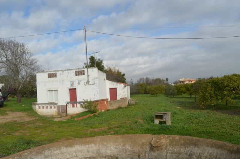 Tanah di Moncarapacho, Faro 10202974
