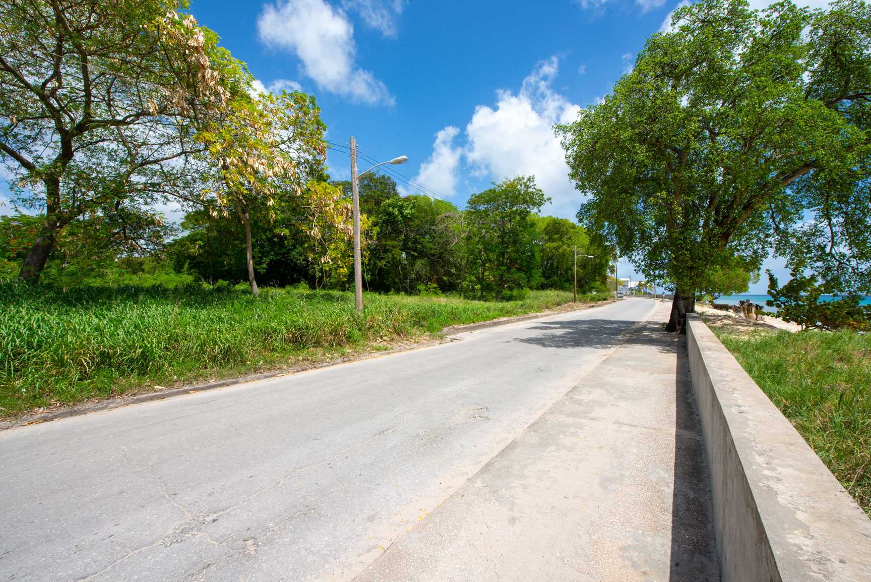 Land in Speightstown,  10207503