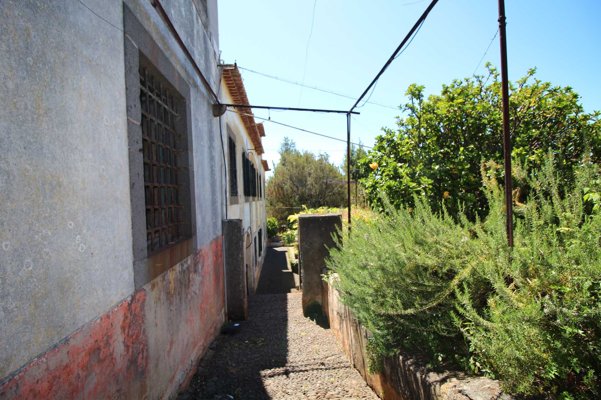 House in , Rua dos Ilhéus 10214164