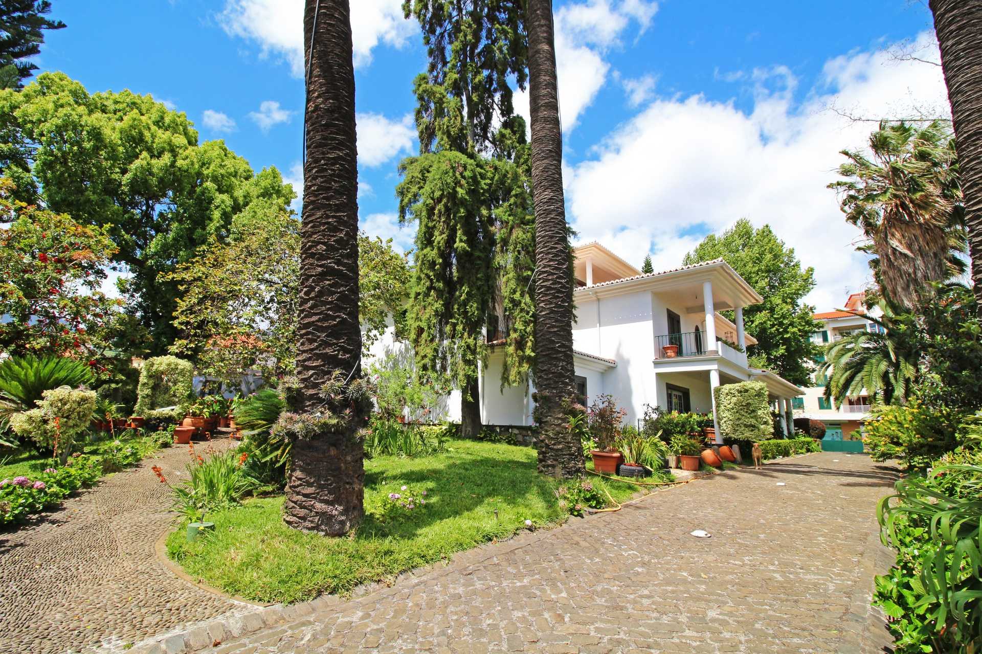 House in Funchal, Madeira 10214192