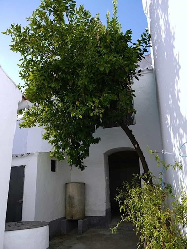 Condominium in Olvera, Andalusia 10214431