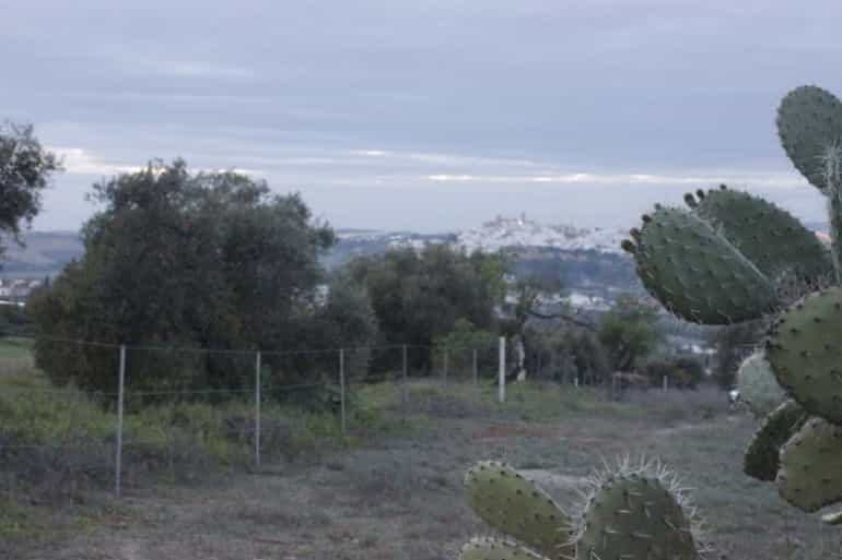 Tanah dalam Arcos de la Frontera, Andalusia 10214496