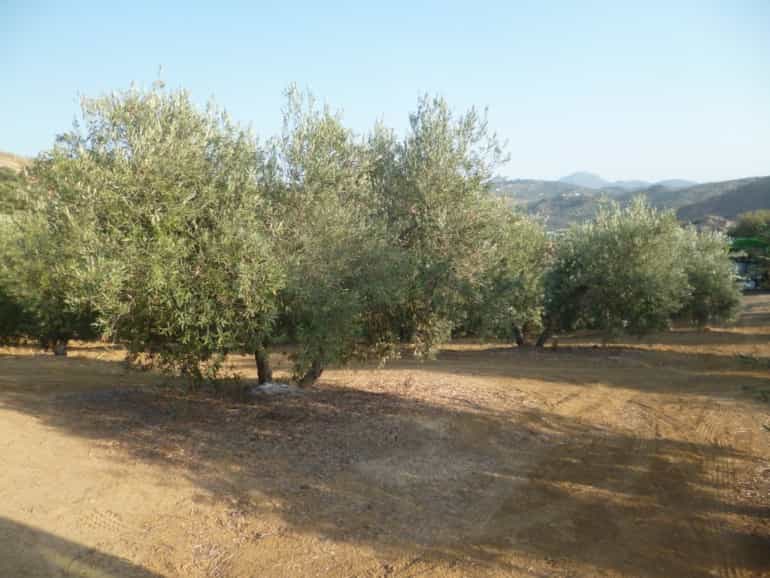 Tanah di Olvera, Andalusia 10214524