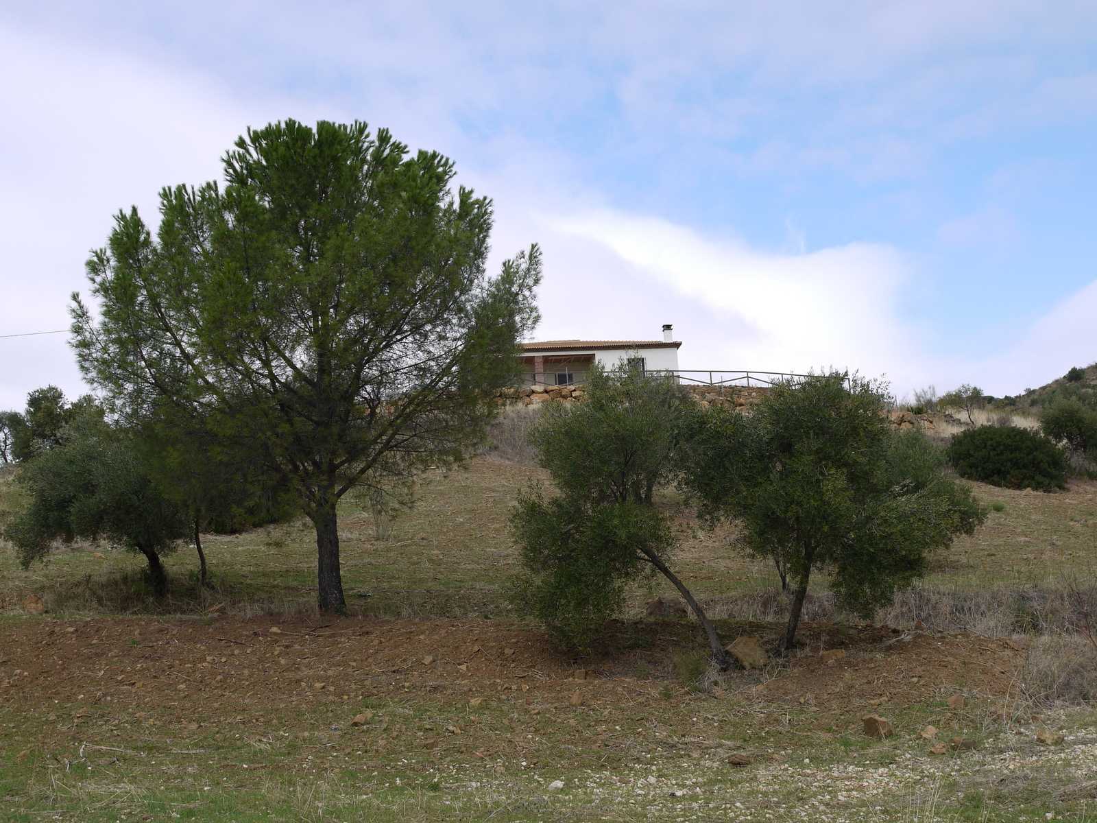Rumah di El Gastor, Andalusia 10214572
