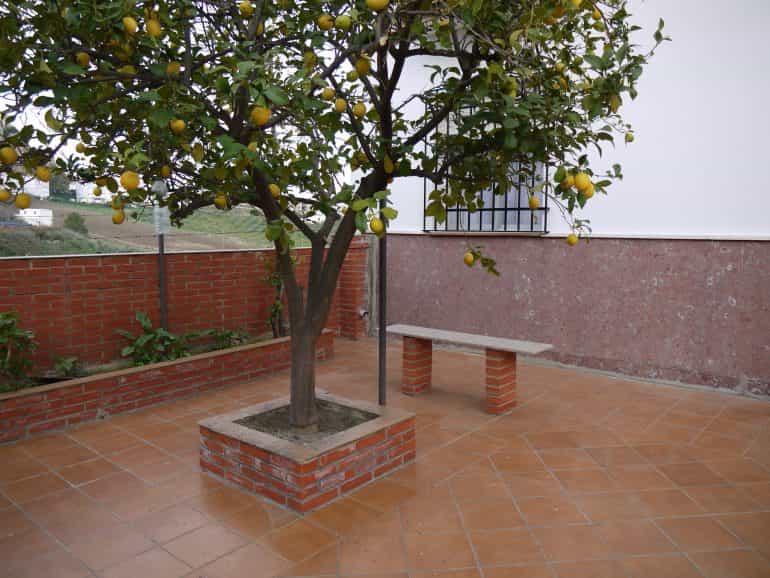 Dom w Olvera, Andalusia 10214575