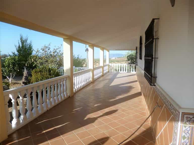 House in Olvera, Andalusia 10214589