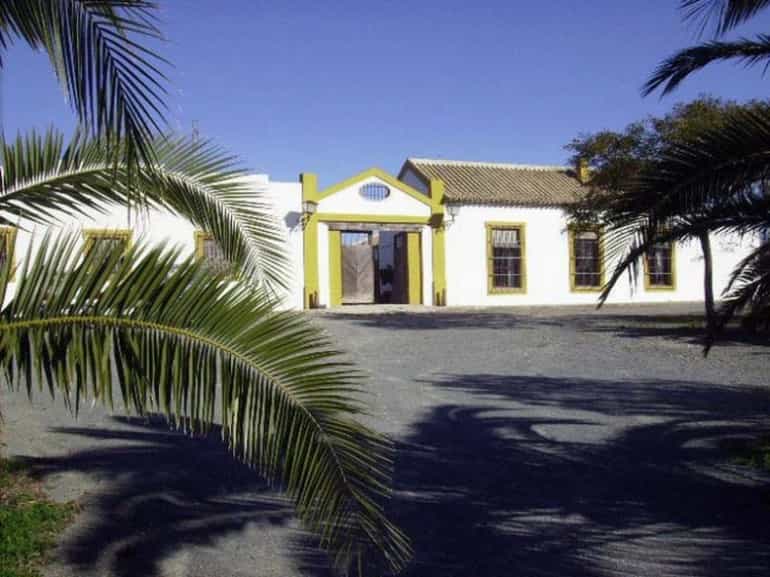 House in Morón de la Frontera, Andalusia 10214608