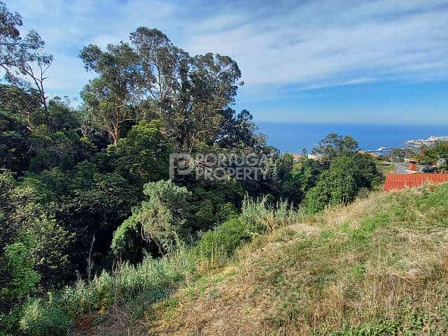 Tanah di Sao Roque, Madeira 10216168