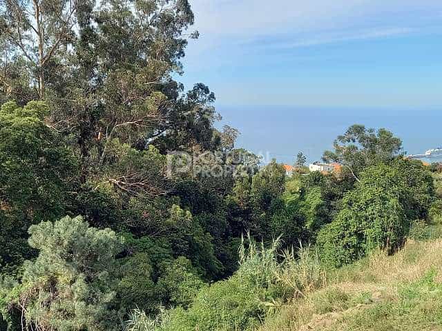 Tanah di Sao Roque, Madeira 10216168