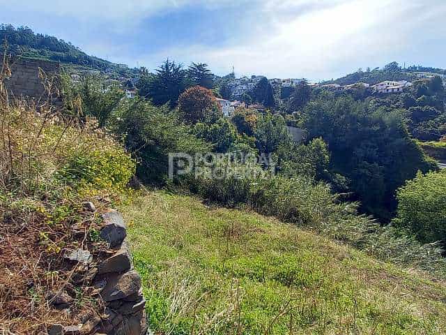 Tanah di Sao Roque, Madeira 10216170