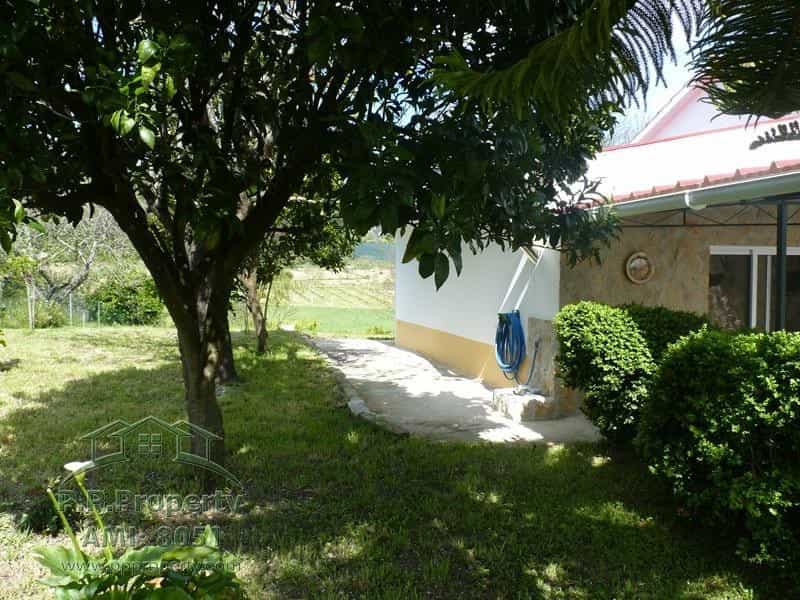 Dom w Figueiró Dos Vinhos, Leiria District 10218371