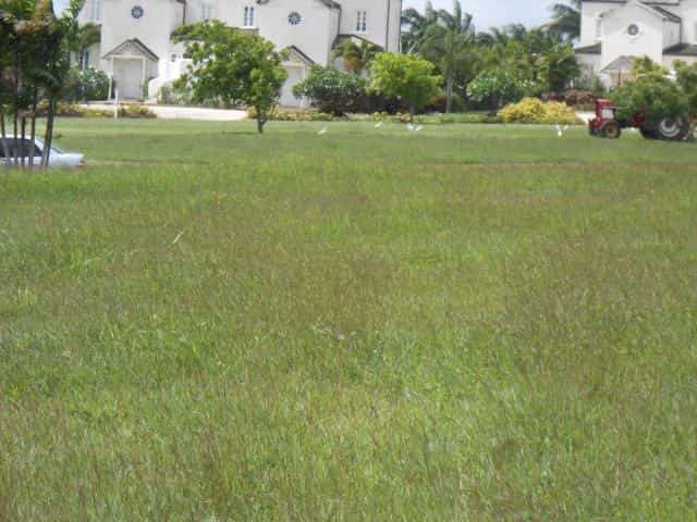 Land in Mose Bottom, Saint Andrew 10220036