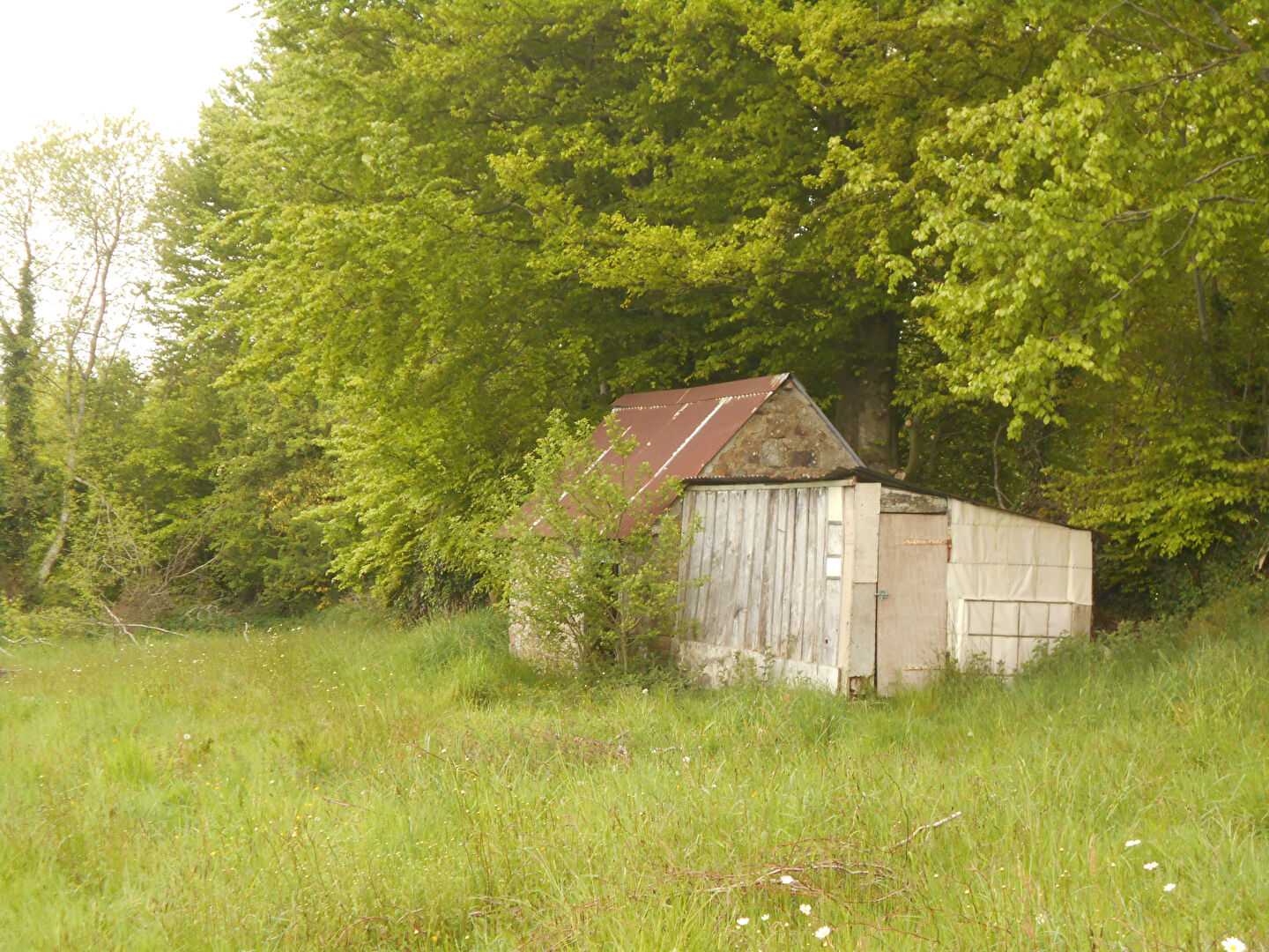 Будинок в Bion, Нормандія 10220421