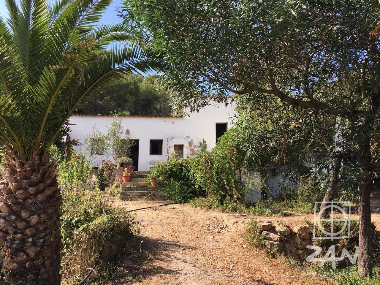 House in San Carlos, Balearic Islands 10224275
