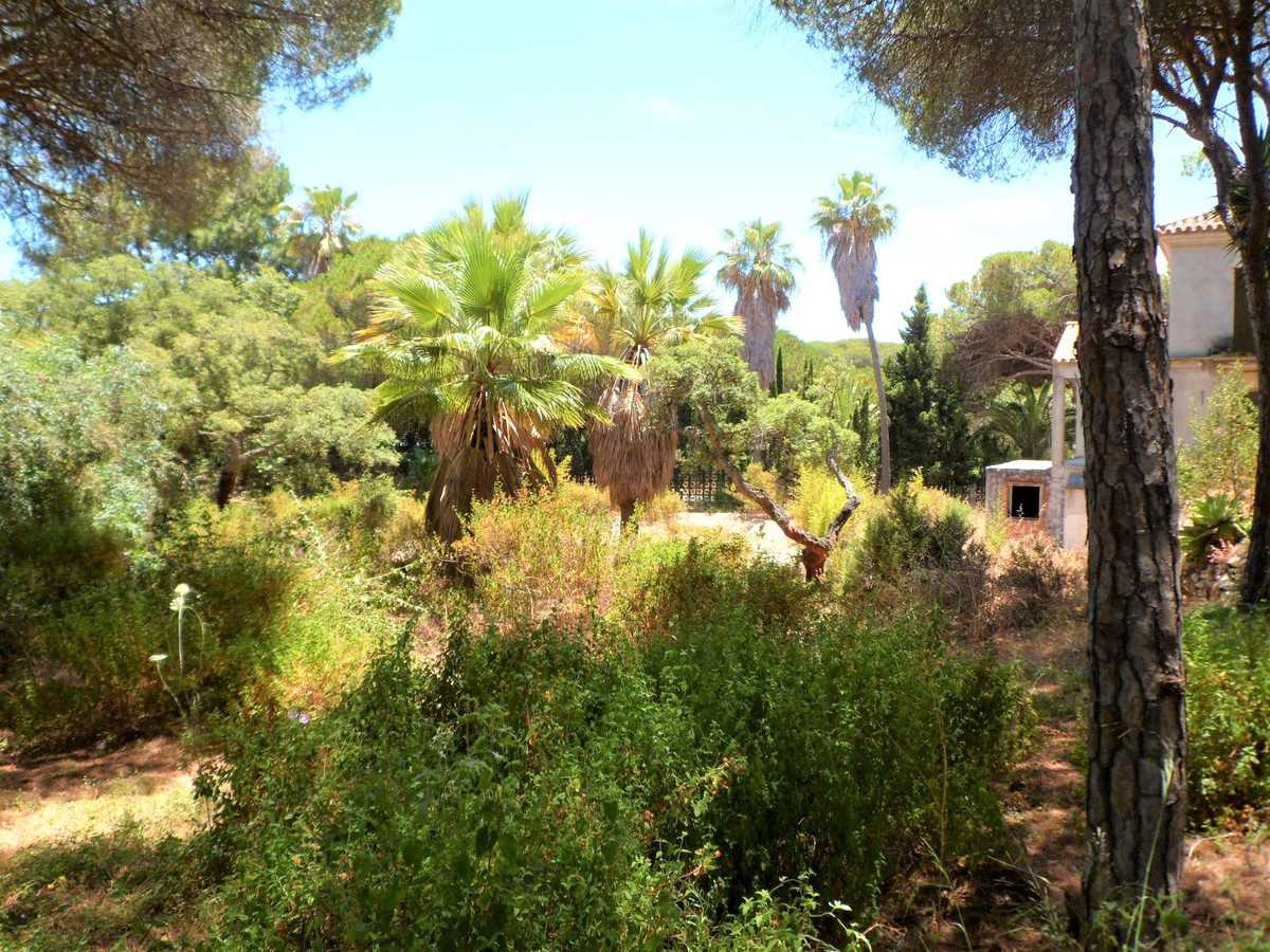 Tanah di Marbella, Andalucía 10226879