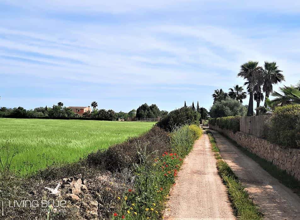 Land in Sencelles, Balearic Islands 10230031