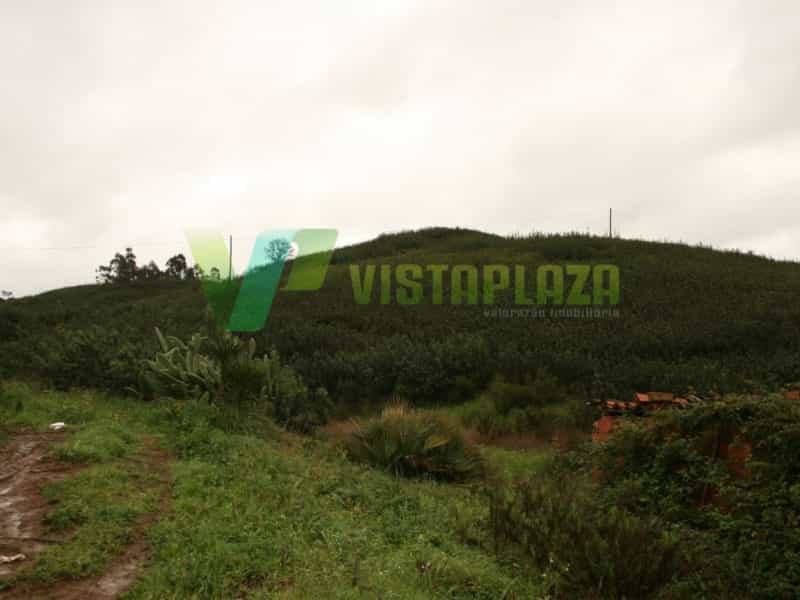 Land i Senhora do Verde, Faro 10483957