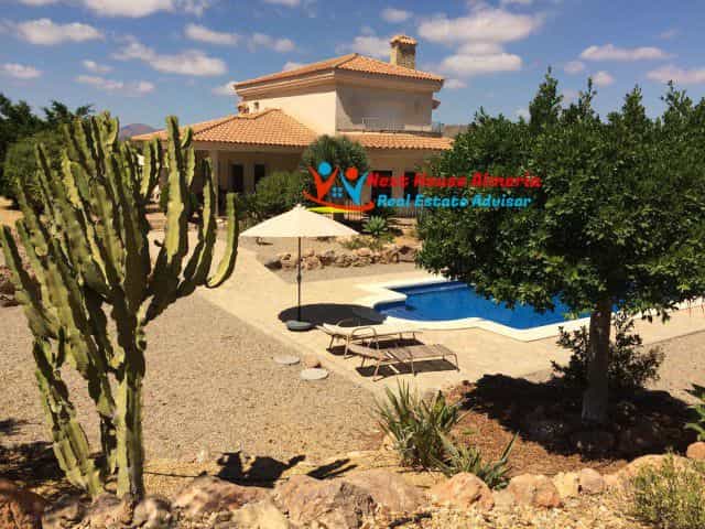 House in Vera, Andalusia 10484484