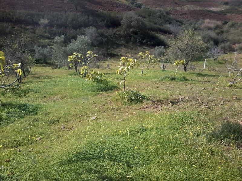 Land in Odeleiet, Faro 10485138