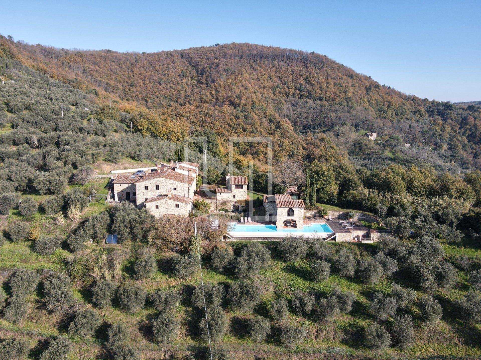 House in Sant'Anna, Tuscany 10486468