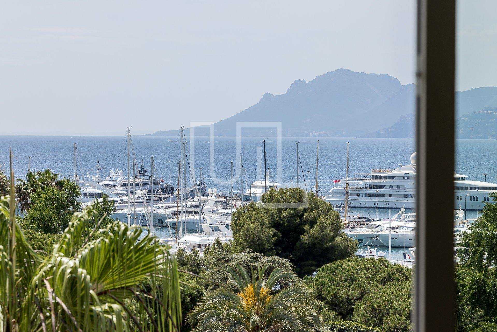 सम्मिलित में Cannes, Provence-Alpes-Côte d'Azur 10486605