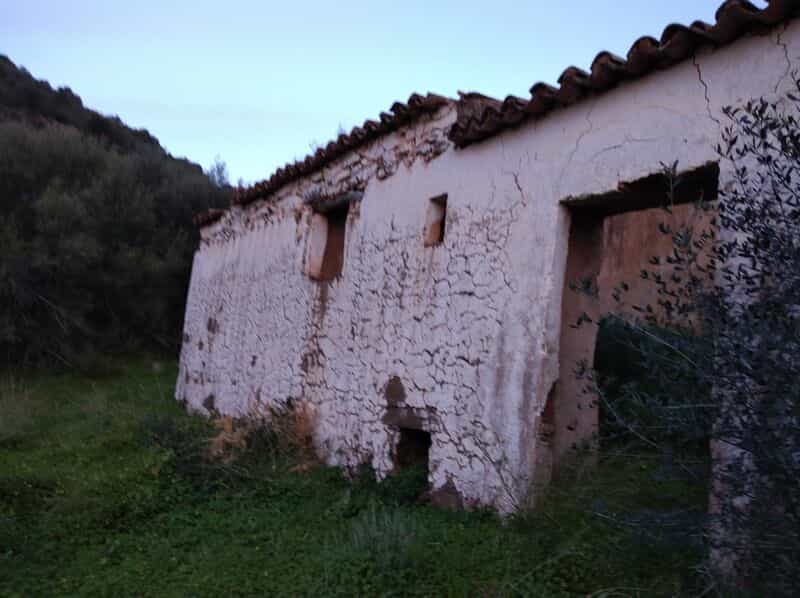 Hus i Azinhal, Faro 10585879