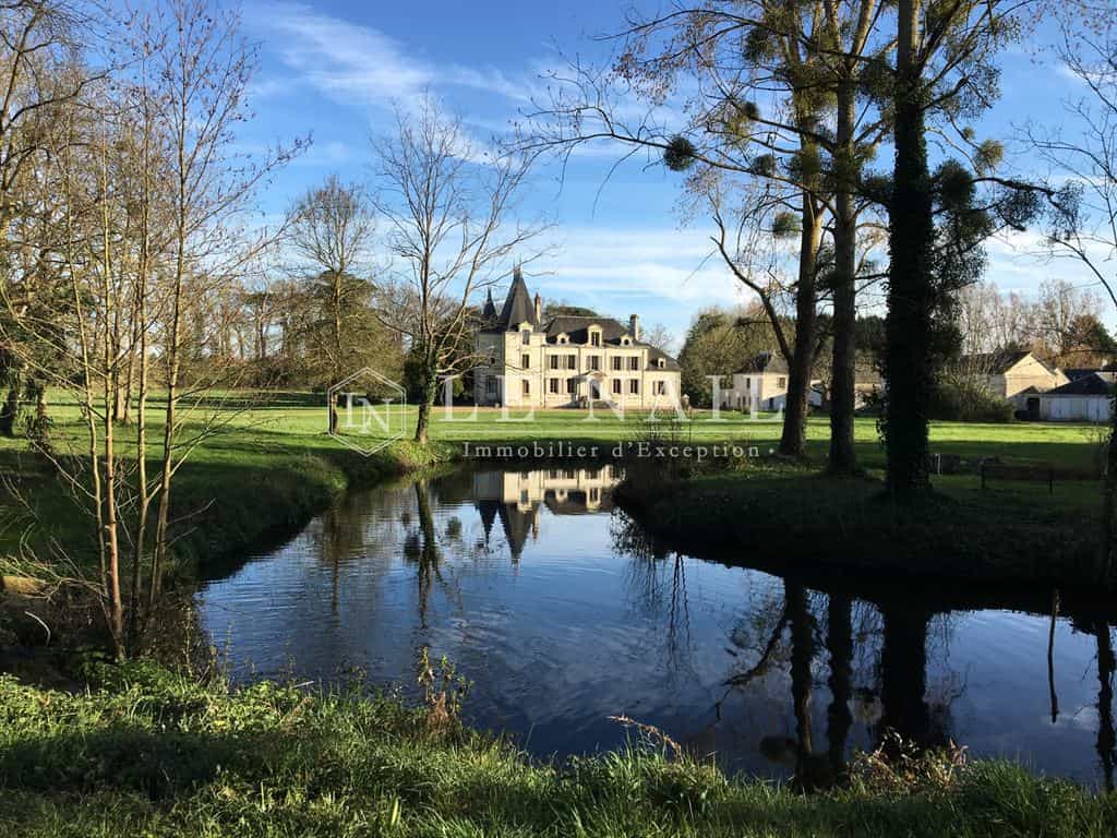 Hus i Saumur, Pays de la Loire 10695644