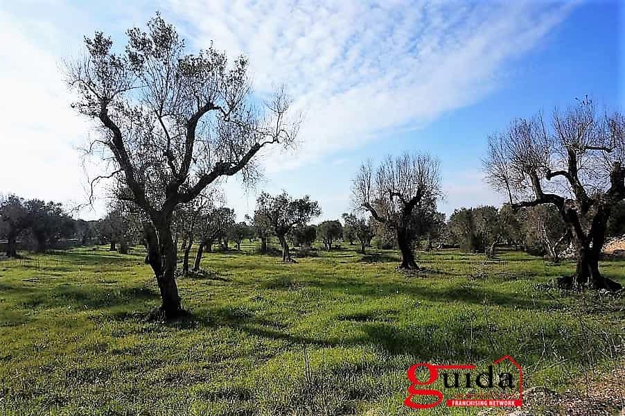 Land in Casarano, Apulia 10697000
