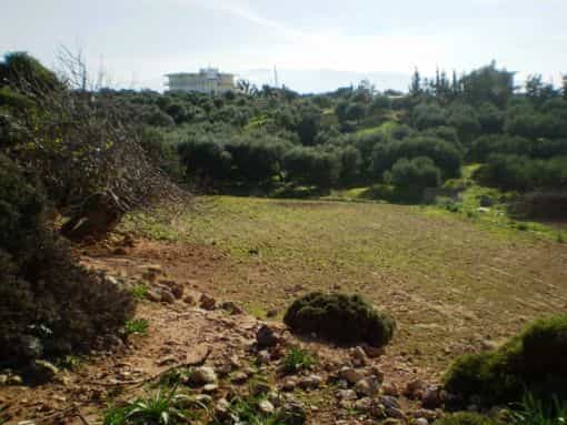 Земля в Хорафакія, Криті 10697633