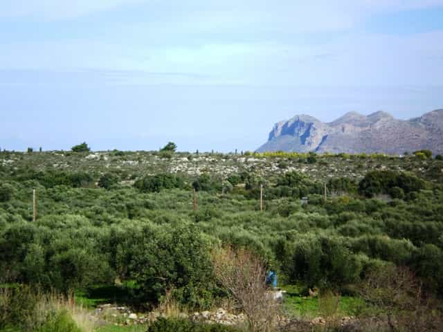 Γη σε Κουνουπιδιανά, Κρήτης 10697651