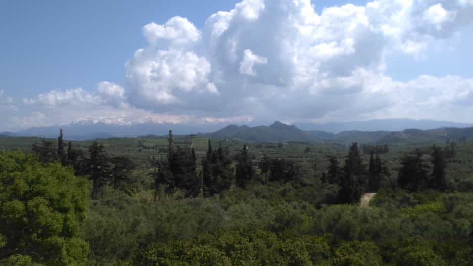 Land in Platanias, Kriti 10697719